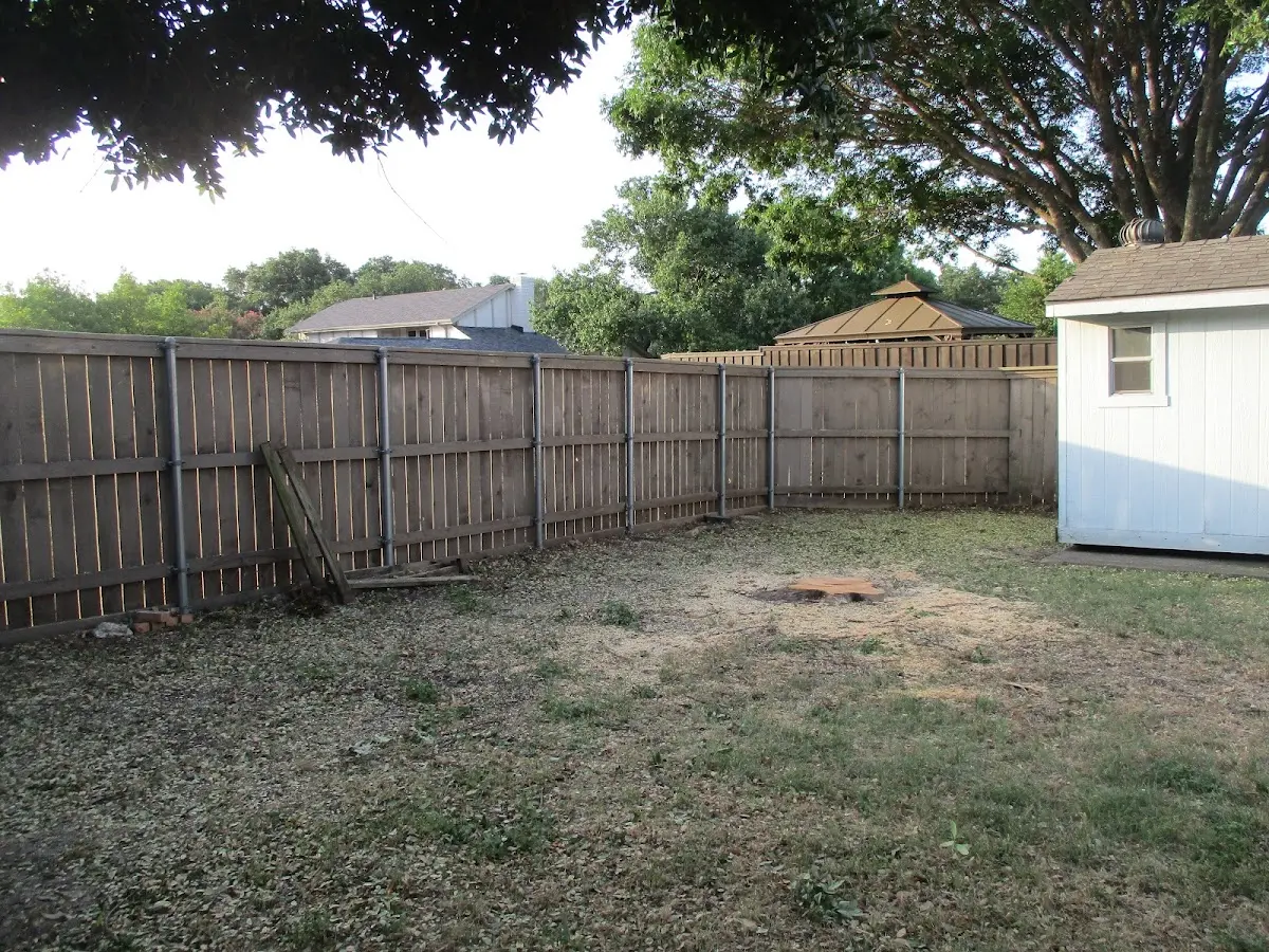 Cleared yard after professional tree removal in Montague