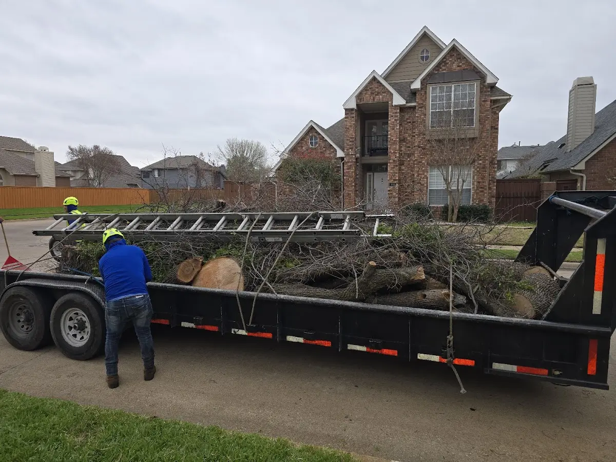 Expert Tree Fertilization with proper safety equipment in Montague